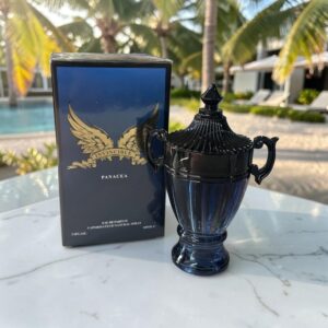 Perfume para caballero INVINCIBLE PANACEA aroma frutal especiado. Con 100 ml. Dupe / inspiraci?n PC7207